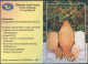 Poland 2005 Mi 4183 Europa - CEPT, Oscypek Cheese, Karpaty Mountain Traditional Food Booklet Set Of 6 Stamps MNH** - Libretti