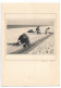 Canet Photo 1949 Colle Sur Carton Format : 14.5 X 10 Pour La Photo Et 17 X 24.5 Cm Pour Le Carton - Canet Plage