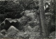 29 - Huelgoat - La Forêt Légendaire - La Chaise De Gargantua Dans Les Bois - Mention Photographie Véritable - CPSM Grand - Huelgoat