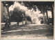 Perpignan  Photo 1949 Colle Sur Carton Format : 14.5 X 10 Pour La Photo Et 17 X 24.5 Cm Pour Le Carton - Perpignan