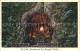 72296679 Portland_Oregon The Grotto  - Sonstige & Ohne Zuordnung