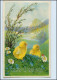 Y5062/ Easter Ostern Küken Litho AK Ca.1930 - Pâques