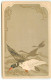 N°22713 - Art Nouveau - Canard  - 1900-1949