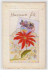 N°2555 - Carte Brodée - Heureuse Fête - Fleur Rouge - Embroidered