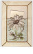 N°2057 - Carte Brodée - Edelweiss - Ricamate