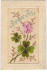 N°7507 - Carte Brodée - Bonne Fête - Trèfles à Quatre Feuilles - Embroidered