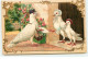 N°17298 - Carte Gaufrée - Pigeon Facteur Apportant Une Lettre - Animales Vestidos