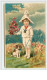 N°2935 - Carte Gaufrée - Garçon Avec Un Chien Et Un Bouquet De Coquelicot - Andere & Zonder Classificatie