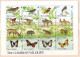 1991 Fauna  The GAMBIA'WILDLFF " 48 V.-MNH (3 S/M X16 V)  GAMBIA - Gambia (1965-...)