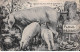 Animaux - N°83983 - Cochons - Chausse-toi Pour Faire Le Quatrième - Pigs