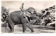 INDE - SAN51206 - Temple Elephant At Katugastota River - Kandy - Ceylon - Indien