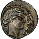 Scribonia, Denier, 62 BC, Rome, Argent, SUP, RIC:416/1b - República (-280 / -27)