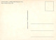 Art - Peinture - Henri De Toulouse Lautrec - La Modiste (Melle Margouin), 1900 - CPM - Carte Neuve - Voir Scans Recto-Ve - Peintures & Tableaux