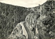 68 - La Schlucht - Route Et Col De La Schlucht - CPSM Grand Format - Voir Scans Recto-Verso - Altri & Non Classificati