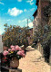 83 - Bormes Les Mimosas - Rue Fleurie - Fleurs - CPM - Voir Scans Recto-Verso - Bormes-les-Mimosas