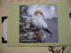 Delcampe - 14 Cartes Postales PHQ Wild Coasts, Côtes Sauvages, - Stamps (pictures)