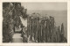 MONACO - "NATATION 1947" DEPARTURE KRAG PMK CANCELLING Yv #277  ALONE  FRANKING PC (VIEW OF MONACO) TO BELGIUM - 1947 - Lettres & Documents