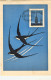 1946-Novara Cartolina Illustrata Emessa Dall'associazione Filatelica Affrancata  - Esposizioni