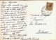 1959-cartolina Un Saluto Da Mandello Lecco Con Cinque Vedute Annullo Di Ambulant - Lecco