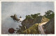 1930circa-Giappone Japan Cartolina "Famausplace Of Atami" - Other & Unclassified