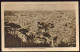 1930circa-"Napoli,panorama Di Napoli Con La Reggia Di Capodimonte" Edizione Sagr - Napoli (Naples)