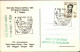 1981-cartolina Il Volo Su Pisa Di Cheuret Con Annullo Figurato XX Mostra Filatel - Airmail