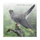ESTONIA 2024 Bird Of The Year,The Common Cuckoo,Aves,Animal,Summer Migrant To Europe & Asia,1v Mint MNH (**) - Estland