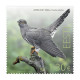 ESTONIA 2024 Bird Of The Year,The Common Cuckoo,Aves,Animal,Summer Migrant To Europe & Asia,1v Mint MNH (**) - Estonia