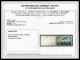 ** N°14, Avion Survolant Paris, 50F Vert-jaune, Bord De Feuille. SUP (signé Calves/certificat)  Qualité: **  Cote: 2000  - 1927-1959 Mint/hinged