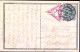 1918-AUSTRIA Fr.llo Per Giornali Espresso H.2 Su Cartolina Postale H.8 Trento (2 - Andere & Zonder Classificatie