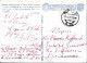 1943-Posta Militare/N 96 C.2 (16.4) Su Cartolina Franchigia Fori Spillo - Poststempel