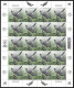 ESTONIA 2024 Bird Of The Year,The Common Cuckoo,Aves,Animal,Summer Migrant To Europe & Asia, Maxicard,FullSheet MNH (**) - Estonie