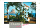 Espagne - Espana - Comunidad Valenciana - Calpe - Multivues - CPM - Voir Scans Recto-Verso - Alicante