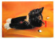 Animaux - Chats - CPM - Voir Scans Recto-Verso - Katzen