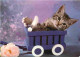 Animaux - Chats - CPM - Voir Scans Recto-Verso - Katzen