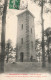 FRANCE - Bruyeres En Vosges - Tour Sur L'Avison - Vue Générale - Animé - Carte Postale Ancienne - Bruyeres