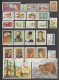 BELARUS - ANNEE COMPLETE 1995 AVEC BLOC + ANNEE PRESQUE COMPLETE 1996 ** MNH - 5 PAGES ! - COTE ENVIRON 150 EUR - Bielorussia