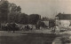 FRANCE - Aillant S/ Tholon (Yonne) - Vue Sur Le Marché - Vue Générale - Animé - Carte Postale Ancienne - Aillant Sur Tholon