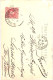 CPA Carte Postale Espagne Barcelona Calle De Aragon 1902  VM79989 - Barcelona