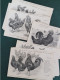 Lot De 20 Cartes Coq Et Poules , Illustrations Du Journal "l'acclimatation" , Rue Du Bac , Paris - Collections & Lots