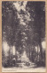 10259 ● ● Peu Commun PAULINET Tarn  Allée NOTRE-DAME ND 1910s Phototypie LABOUCHE N.D - Other & Unclassified