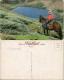 Colorado Ansichten Allgemein Cowboy With Horse (zu Pferd) In Colorado USA 1970 - Other & Unclassified