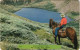 Colorado Ansichten Allgemein Cowboy With Horse (zu Pferd) In Colorado USA 1970 - Andere & Zonder Classificatie