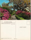 Postcard Baton Rouge EARLY SPRING IN LOUISIANA USA 1970 - Andere & Zonder Classificatie