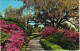 Postcard Baton Rouge EARLY SPRING IN LOUISIANA USA 1970 - Andere & Zonder Classificatie