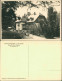Bärenfels (Erzgebirge)-Altenberg (Erzgebirge) Pension Friedenshöhe 1934 - Altenberg