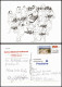 Schach-Motiv-/Korrespondenzkarte (Chess) Illustration Mit Schachbrettern 2011 - Contemporain (à Partir De 1950)