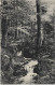 Ansichtskarte Olbernhau Wasserfall Beim Fuchsstein 1913 - Olbernhau