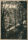 Danzig Gdańsk/Gduńsk Waldpartie - Lichtung 1926 Privatfoto Foto - Danzig