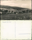 Ansichtskarte Cunnersdorf-Gohrisch (Sächs. Schweiz) Blick Auf Die Stadt 1953 - Gohrisch